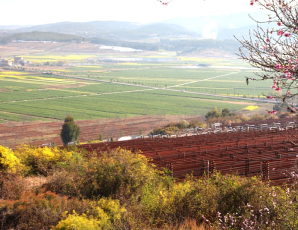 中国微藻界的传奇CP&mdash;&mdash;爱尔发与楚雄雨生红球藻