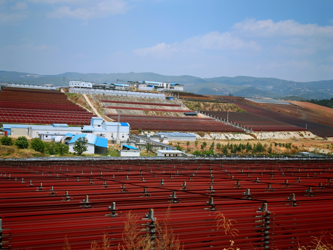 楚雄雨生红球藻&mdash;&mdash;云南新时代的&ldquo;金山银山