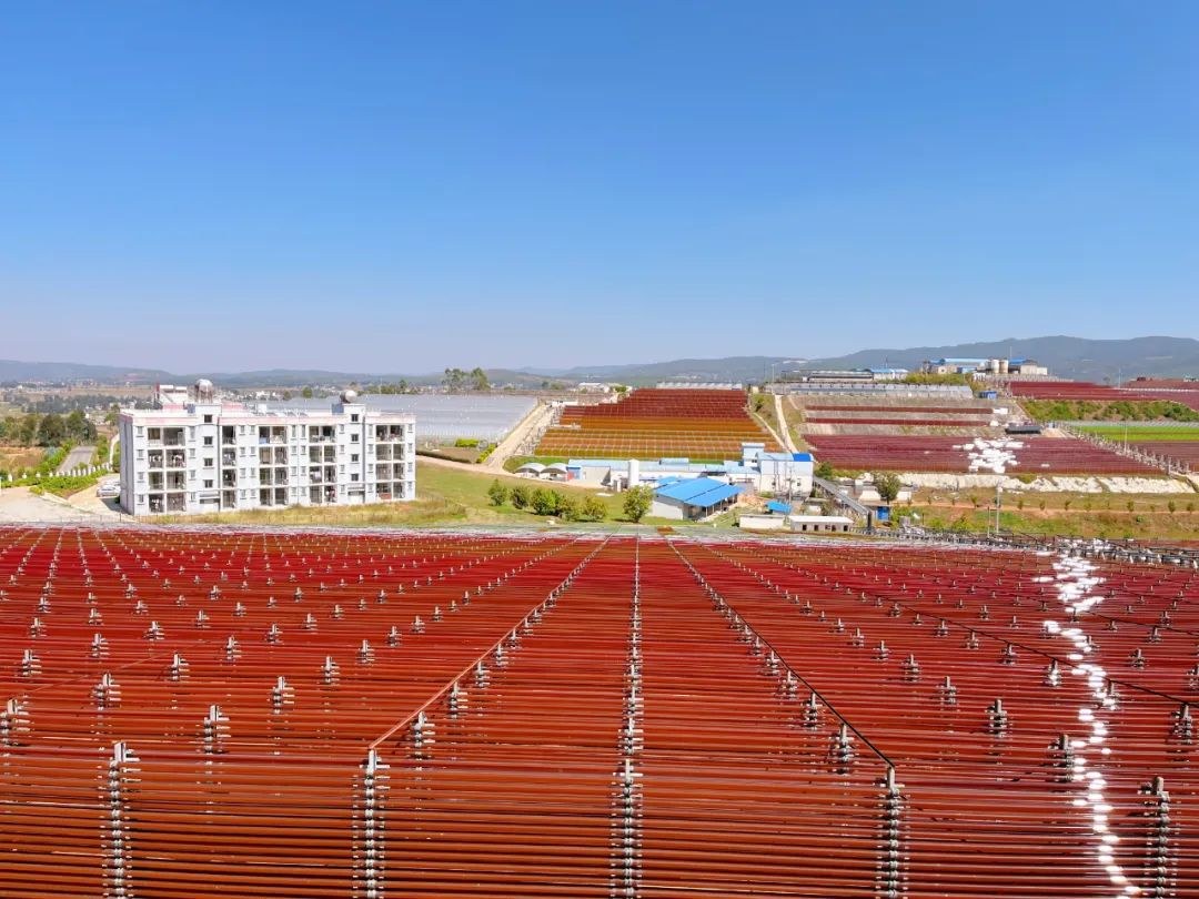 虾青素，为啥要选择看得见摸得着的大品牌？