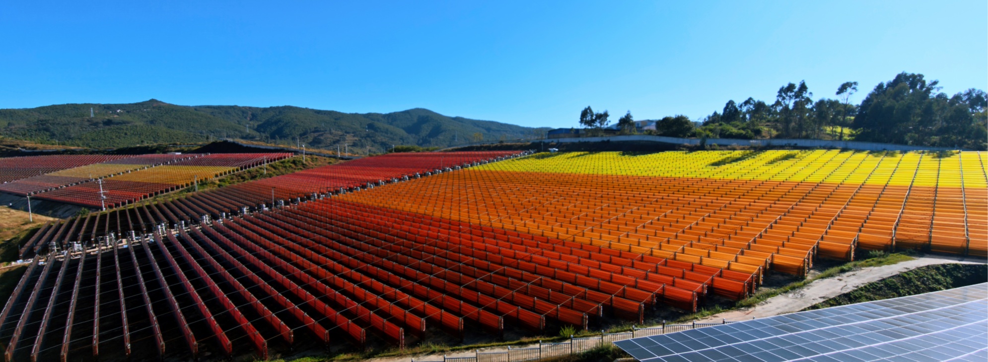 从细胞层面出发：藻源虾青素助力健康老龄化