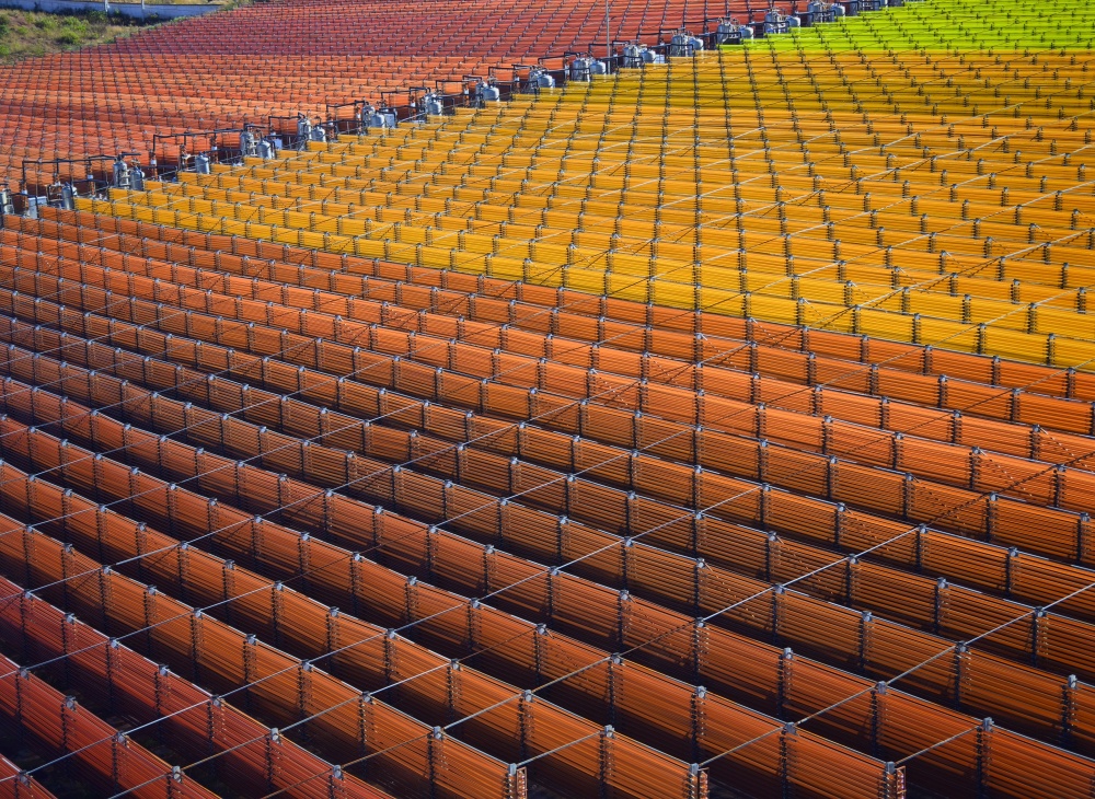 腾冲科学家论坛聚焦中医药现代化，楚雄雨生红球藻虾青素产业引关注