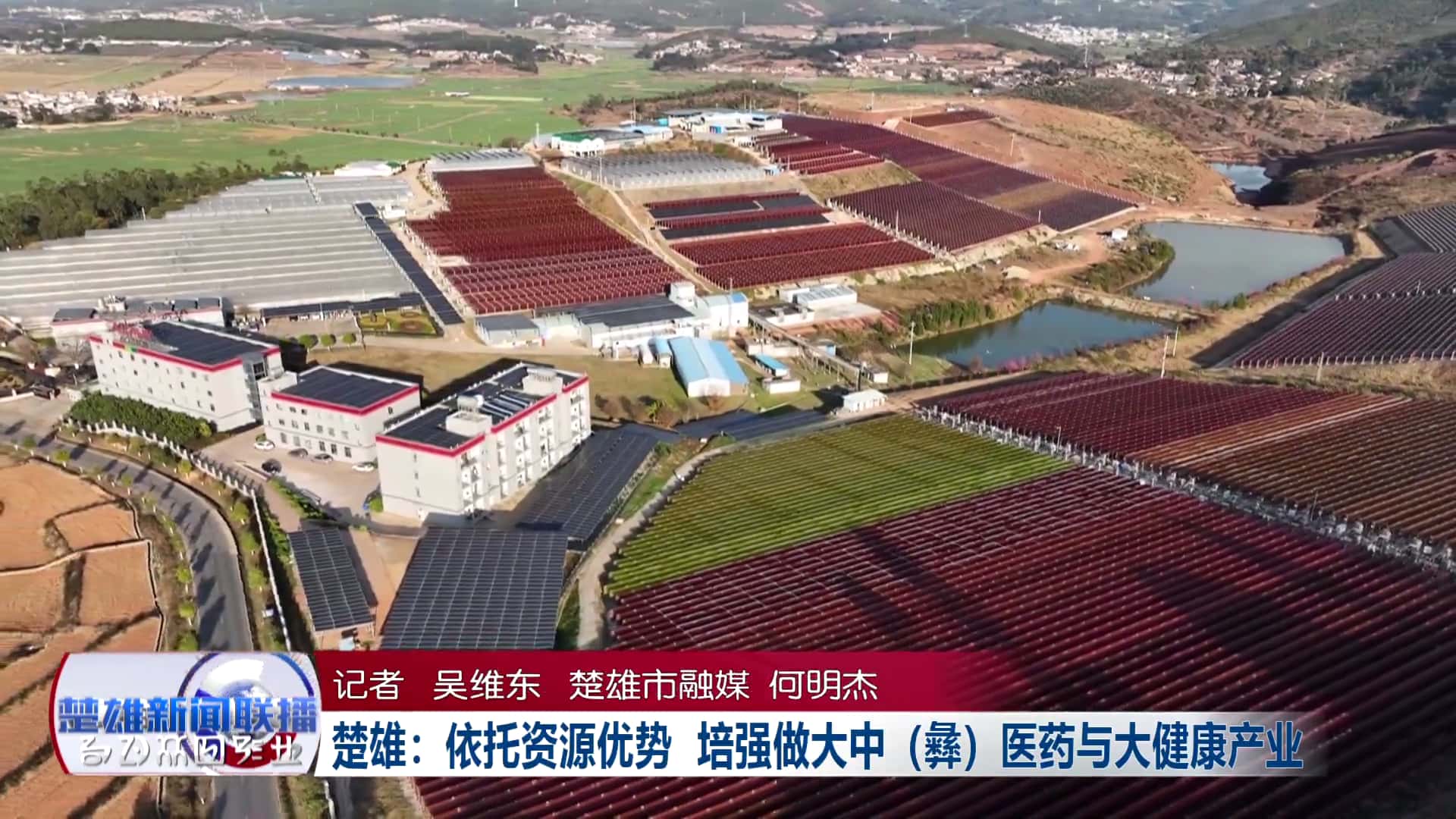 当 &ldquo;治未病&rdquo; 遇上生物科技：爱尔发藻源虾青素如何重构现代健康防线？