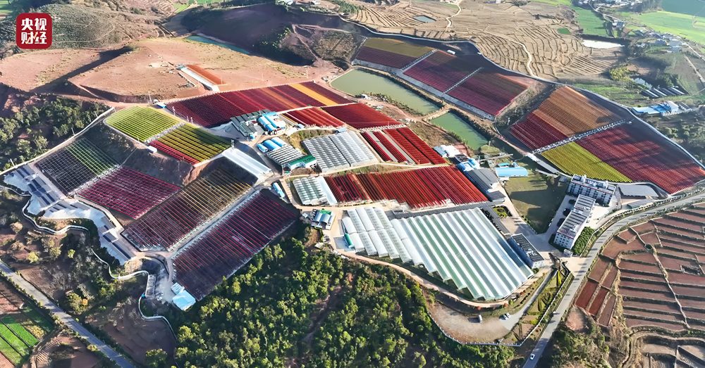 爱尔发用藻源虾青素助力老年人筑牢健康防线