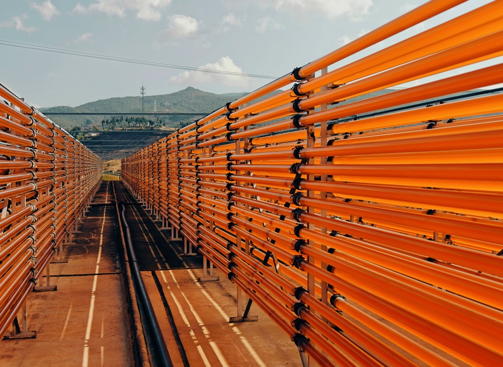 为啥你吃虾青素没效果？看完你就懂了