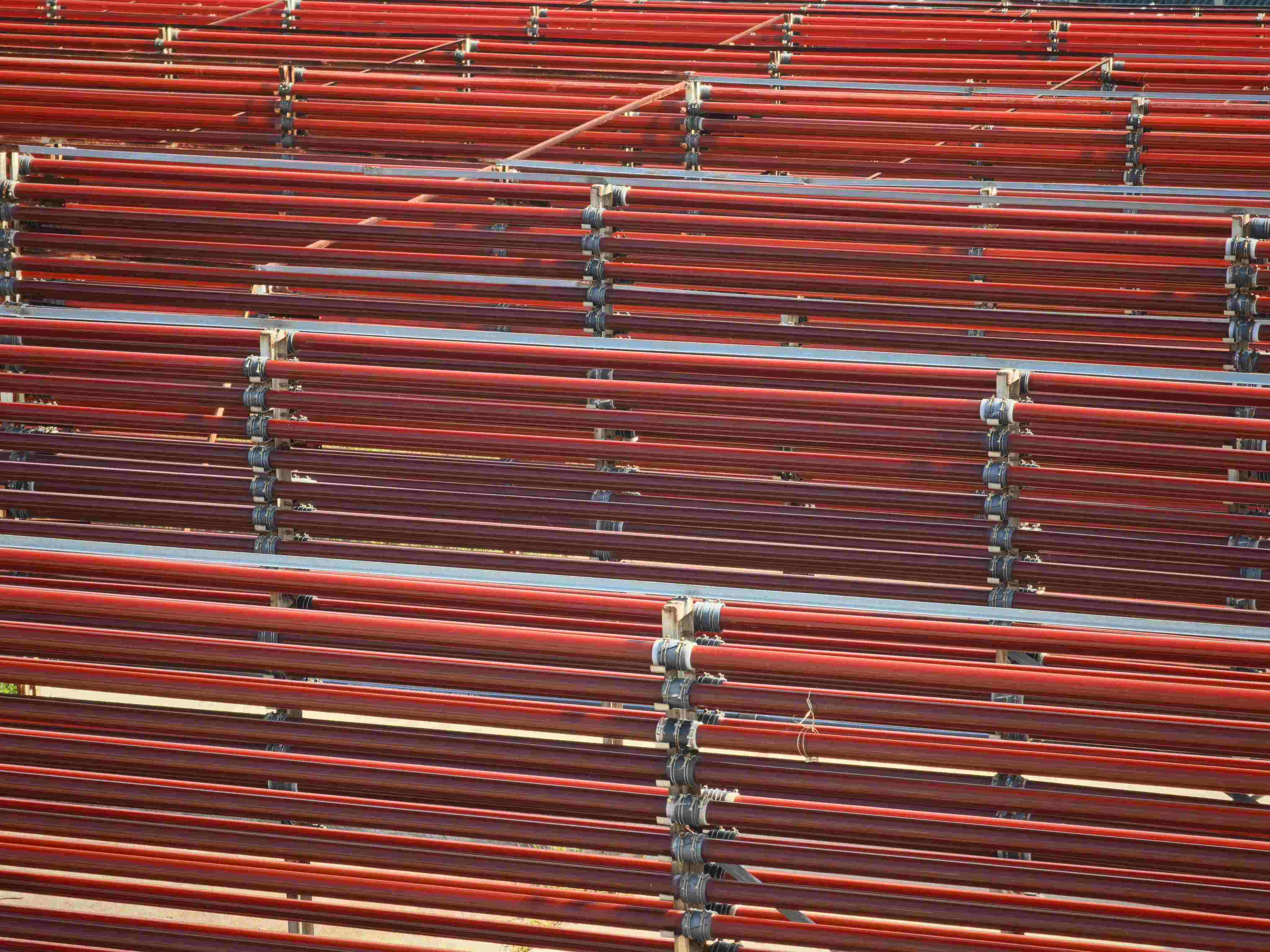 口服虾青素到底有什么功效