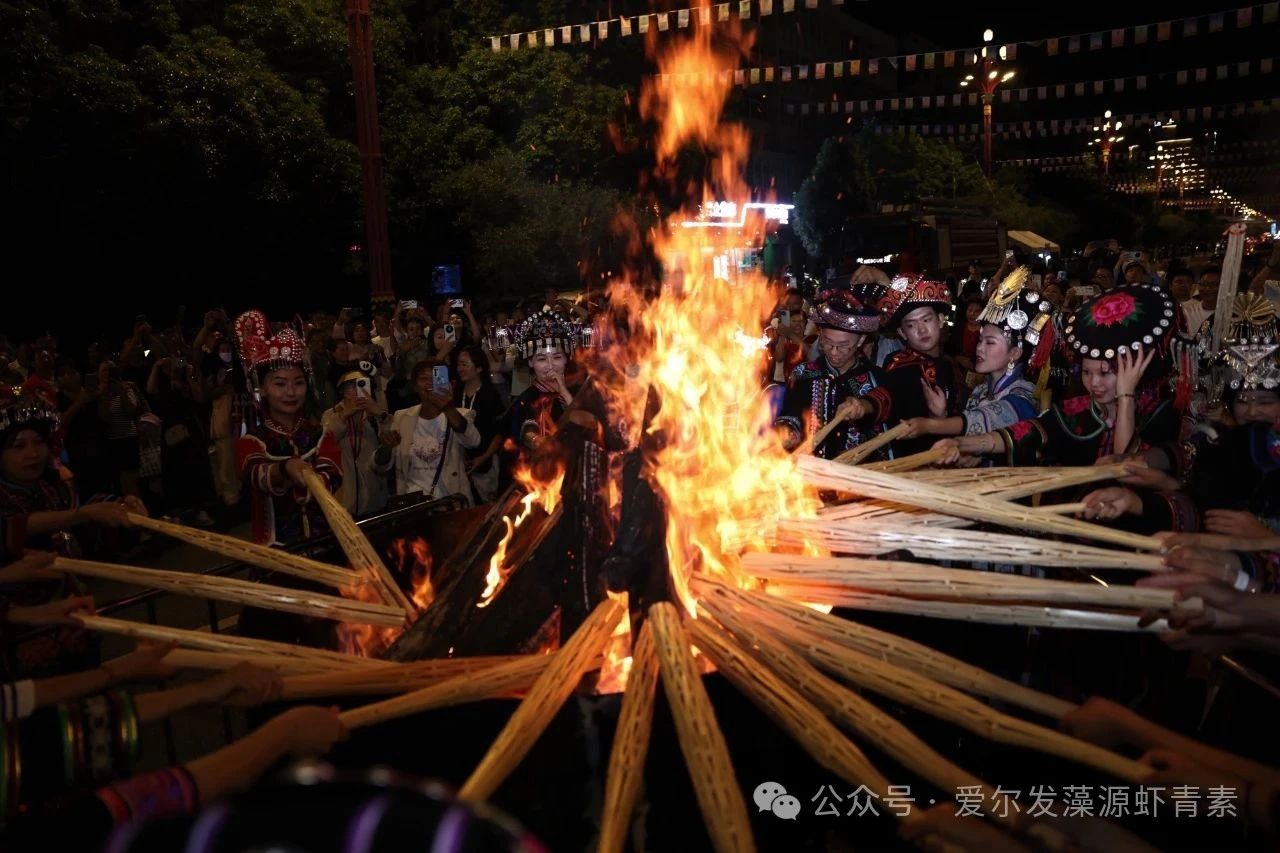 逃离40℃：来楚雄体验火把节与天然虾青素的双重馈赠