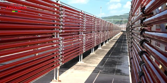 别让健康拖垮状态！爱尔发藻源虾青素助力老年人筑牢健康防线