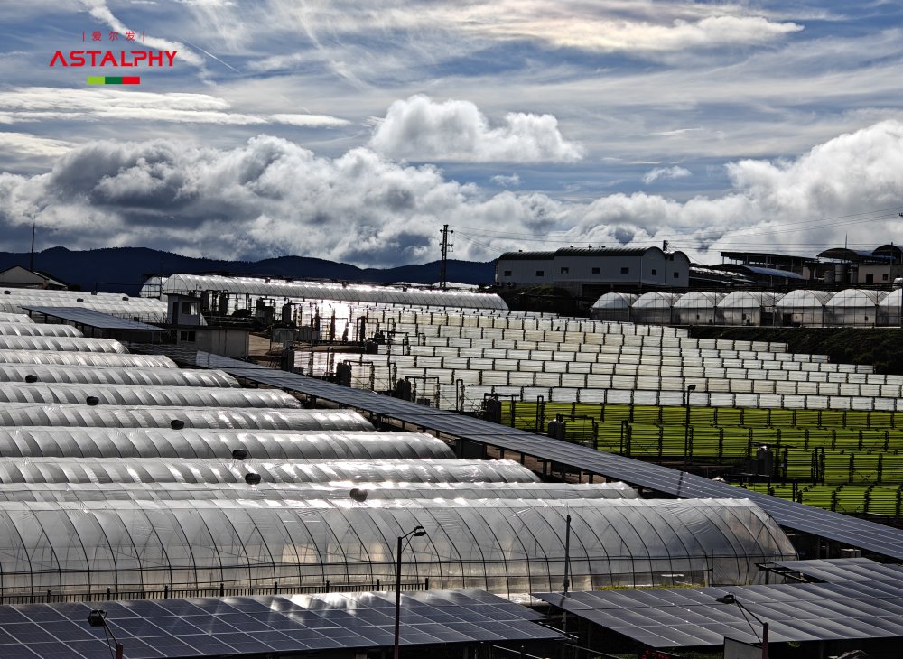 科学备孕新选择，虾青素如何助力优生优育？