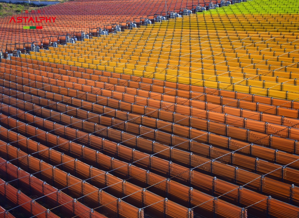 从生活方式到天然补充：虾青素为健康管理添助力