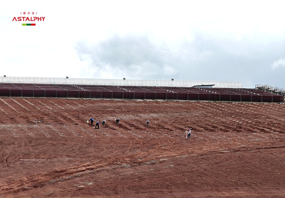 纪实 | 图说爱尔发基地扩建工程：千亩红球藻基地从这里崛起
