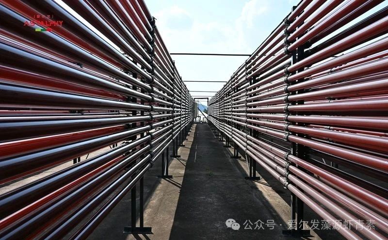 专利 | 爱尔发&mdash;&mdash; 利用离子液体提高雨生红球藻生物量积累的方法及系统