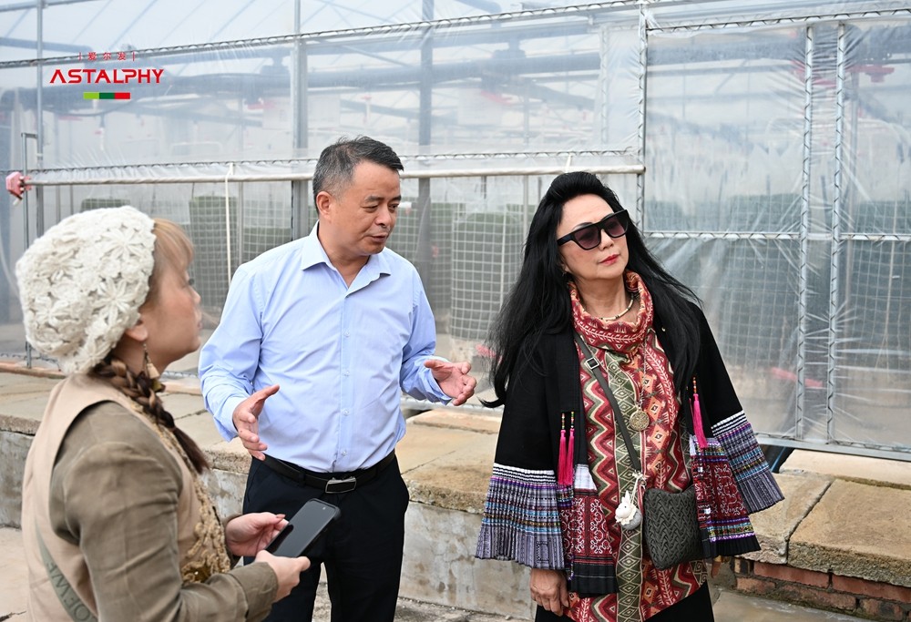 新加坡悦榕集团联合创始人兼高级副总裁张齐娥女士考察云南爱尔发生物技术股份有限公司