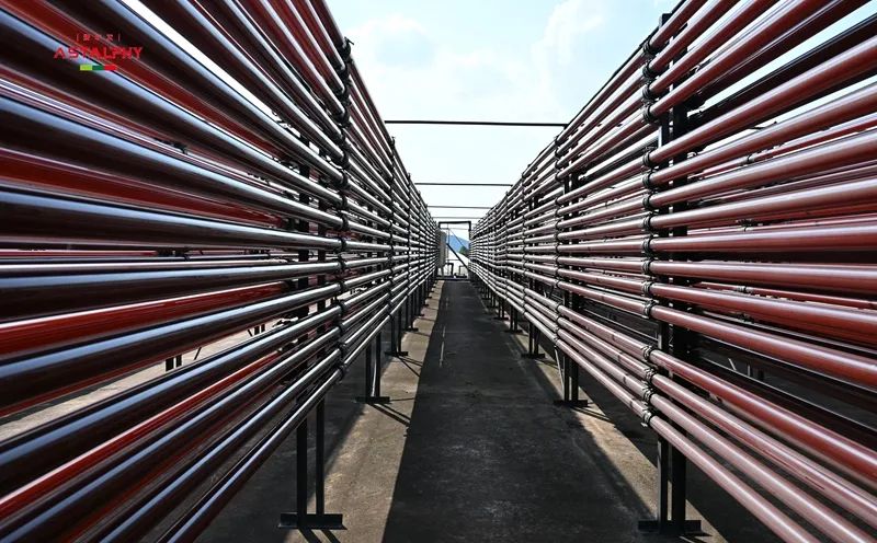 政策赋能！爱尔发深耕藻源虾青素产业， 为健康生活筑势前行