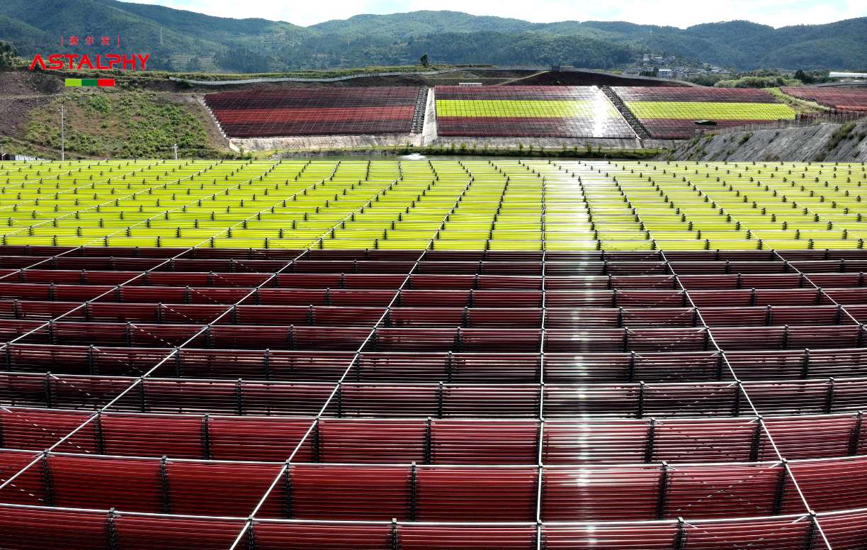 夏耗秋养，虾青素帮你拿捏！