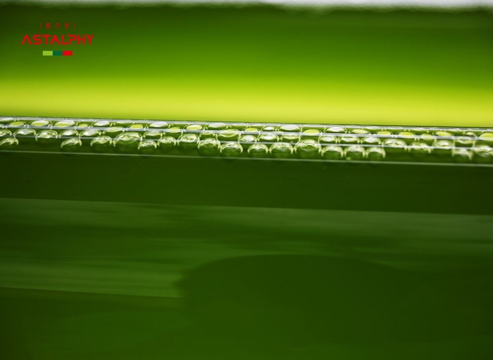 科研前沿 | 伊朗新研究：腐植酸诱导 虾青素积累