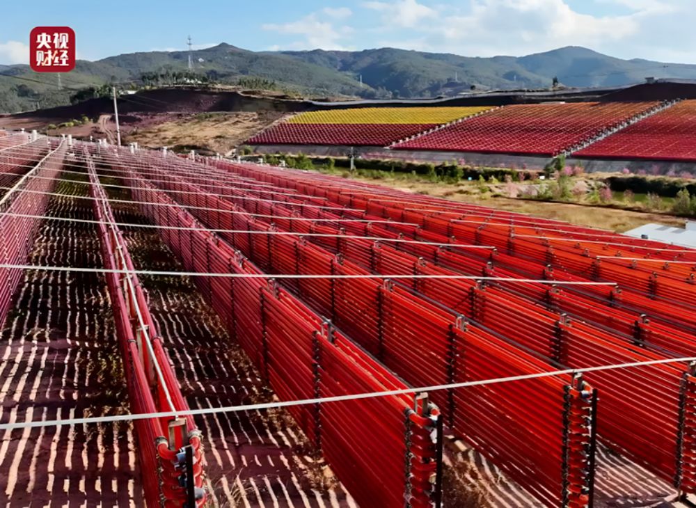 年货选对不踩雷！爱尔发虾青素，送礼自吃两相宜